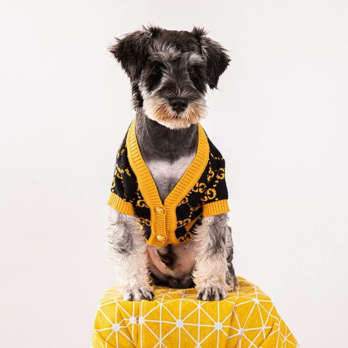 Pet sweater-084