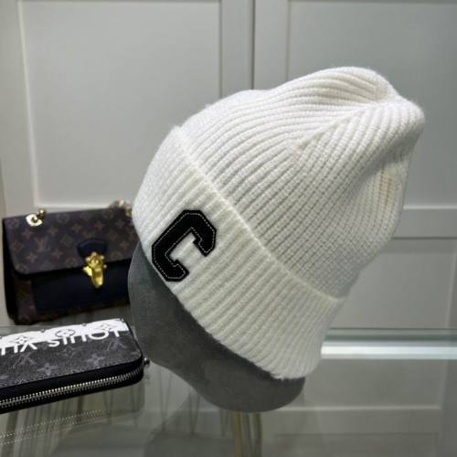 Celine Hats AAA-1355