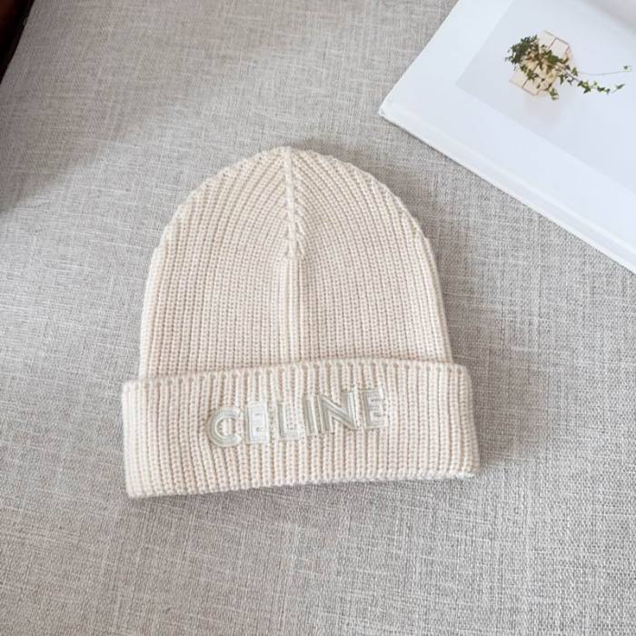 Celine Hats AAA-1293