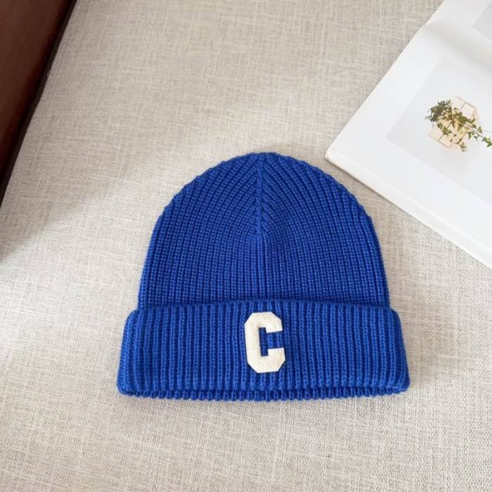 Celine Hats AAA-1041