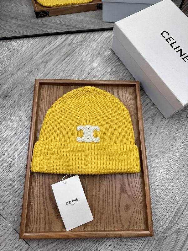 Celine Hats AAA-910