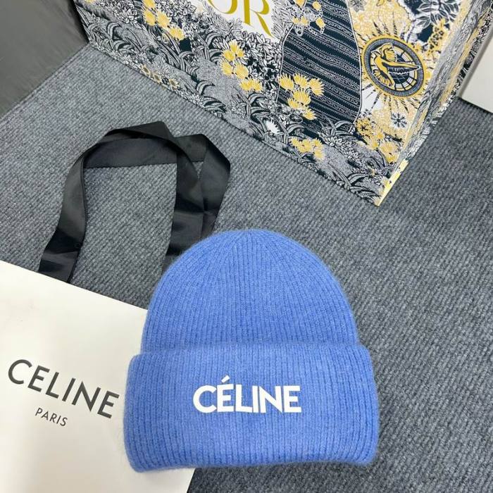 Celine Hats AAA-1213