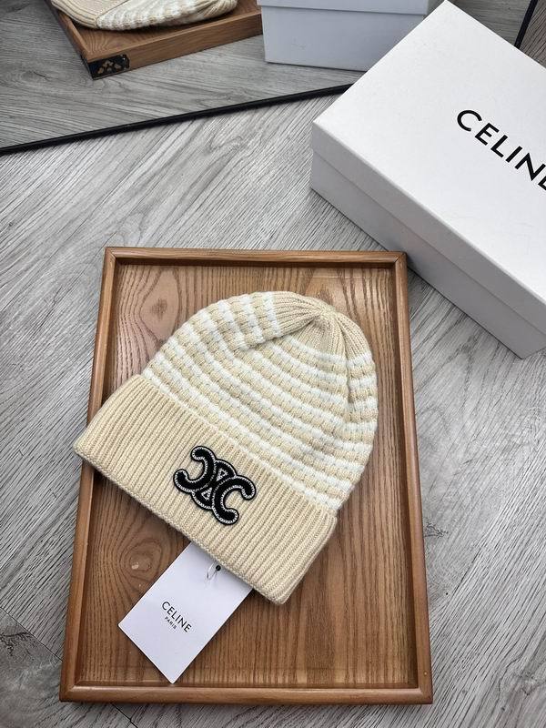 Celine Hats AAA-1195