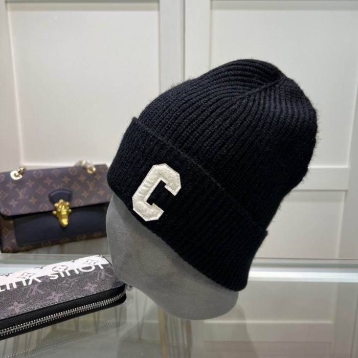 Celine Hats AAA-1352