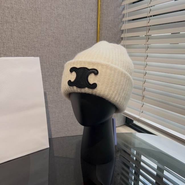 Celine Hats AAA-1269