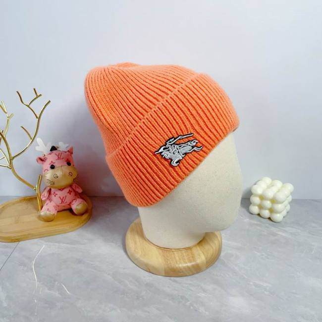 Burrerry Hats AAA-913