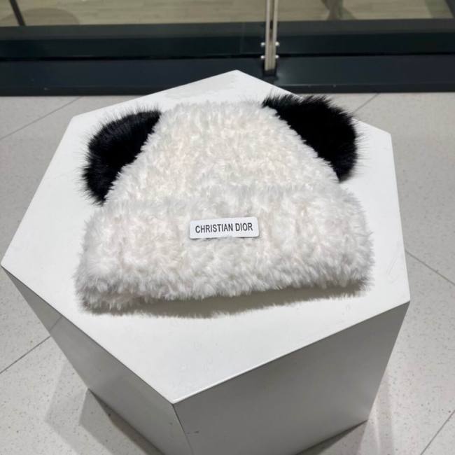 Dior Hats AAA-1410