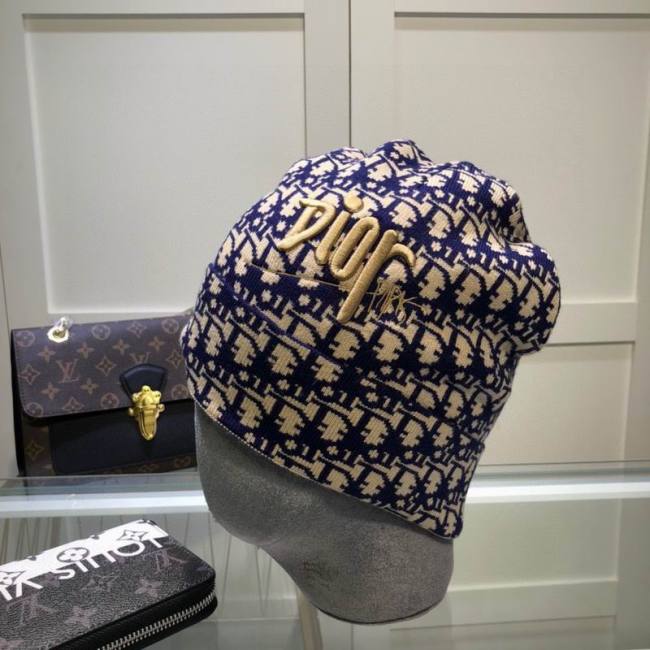 Dior Hats AAA-1373