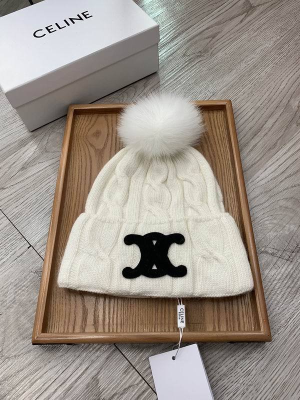Celine Hats AAA-1398