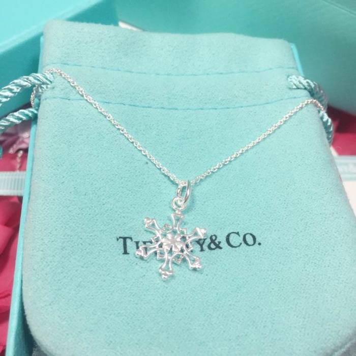 Tiffany Necklace-170