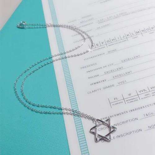 Tiffany Necklace-086