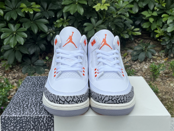 Super Max Perfect Jordan 3 shoes-028