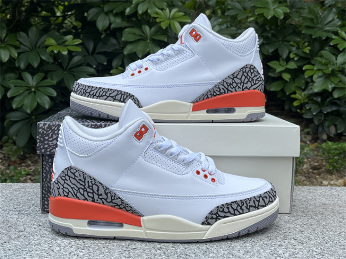 Super Max Perfect Jordan 3 shoes-028