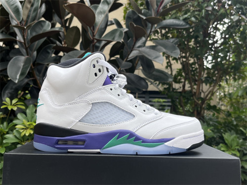 Authentic Air Jordan 5 “Grape” 2025