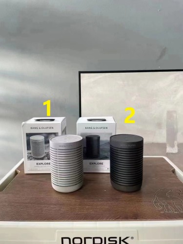 Bang & Olufsen (B&O)EXPLORE