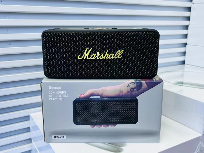 Maarshall speaker MG-2