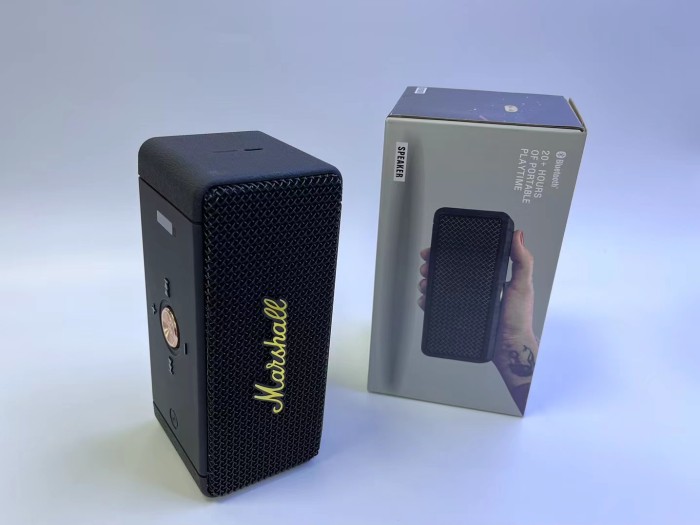 Maarshall speaker MG-2