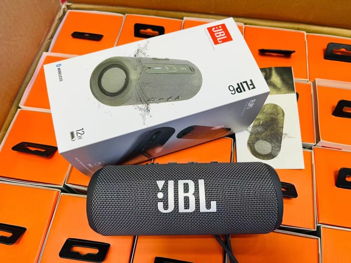 JBL FLIP 6