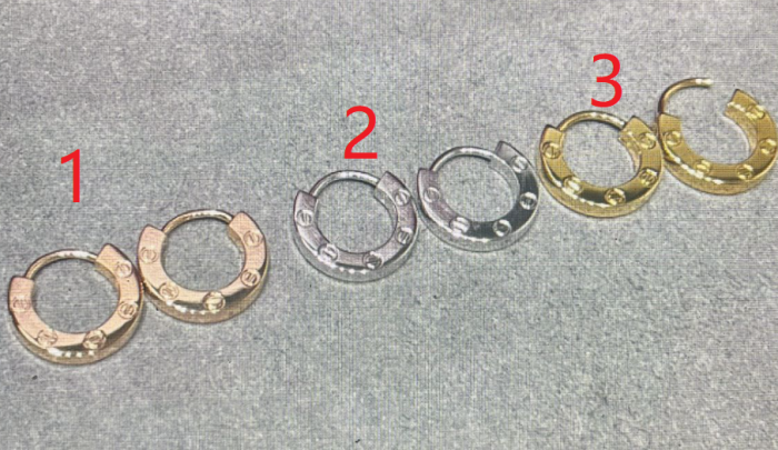 Cartier Earring-105