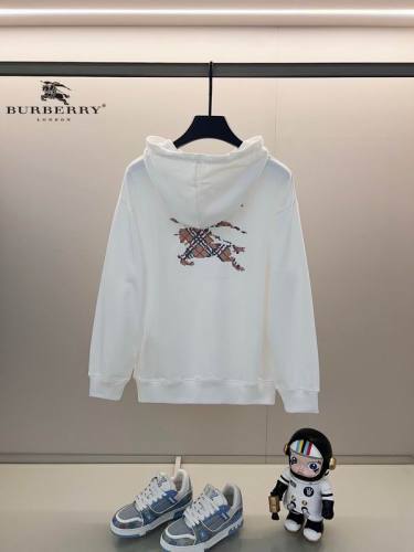 Burberry men Hoodies-1612(XS-L)