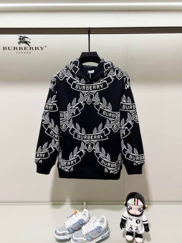 Burberry men Hoodies-1591(XS-L)