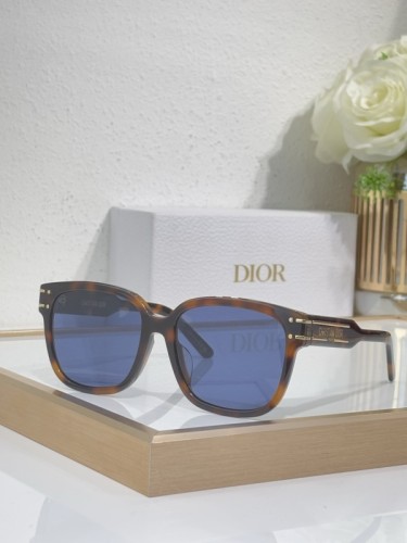 Dior Sunglasses AAAA-4113