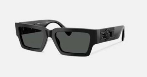 Versace Sunglasses AAAA-3988