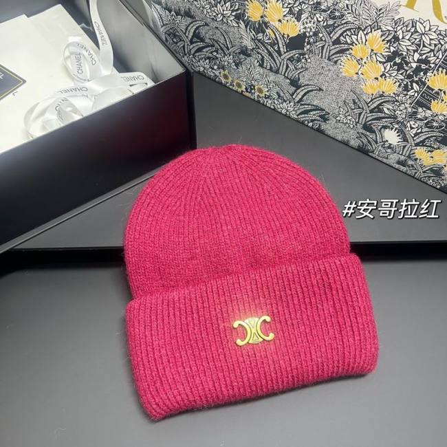 Celine Hats AAA-1611
