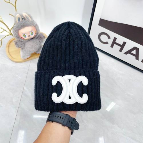 Celine Hats AAA-1714