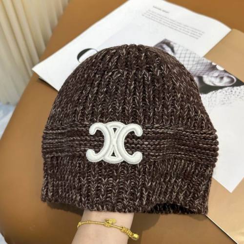 Celine Hats AAA-1571