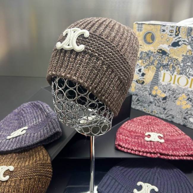 Celine Hats AAA-1556