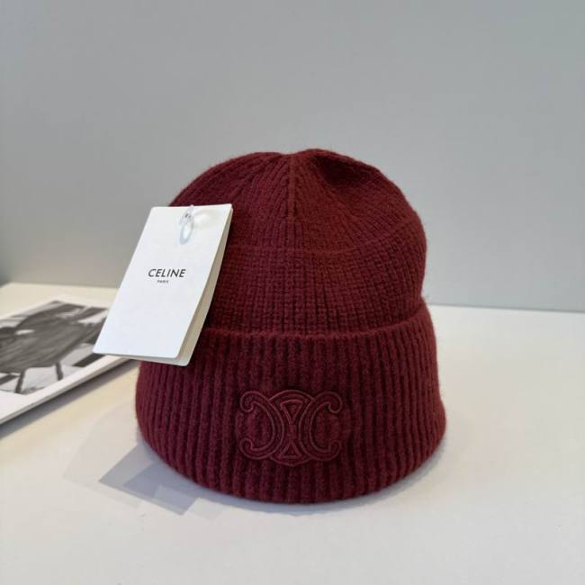 Celine Hats AAA-1477