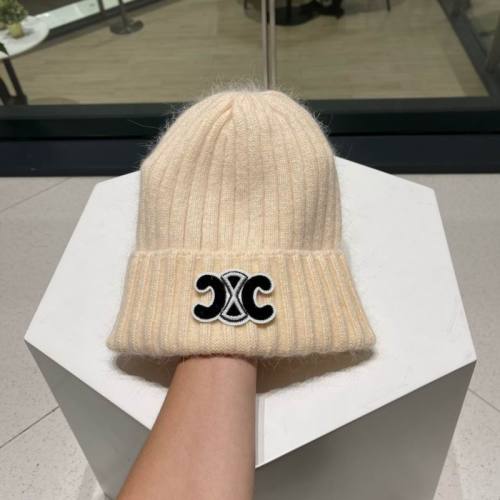 Celine Hats AAA-1484