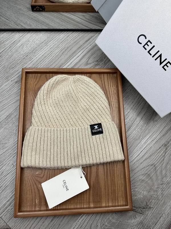 Celine Hats AAA-1545