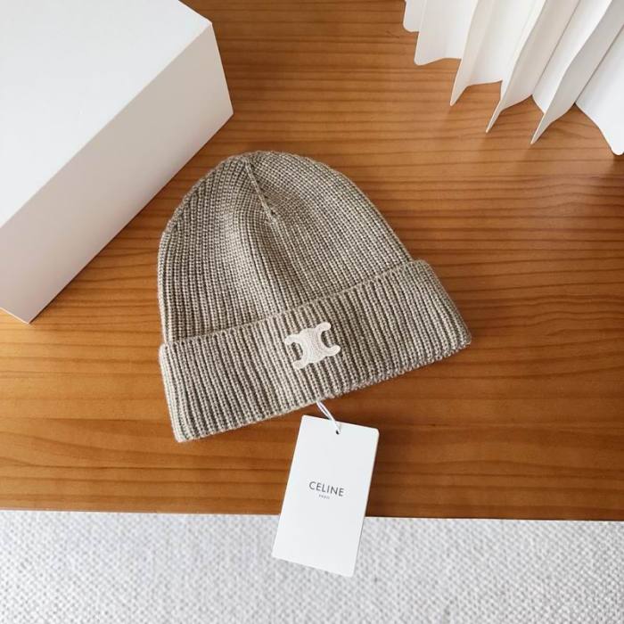 Celine Hats AAA-1513