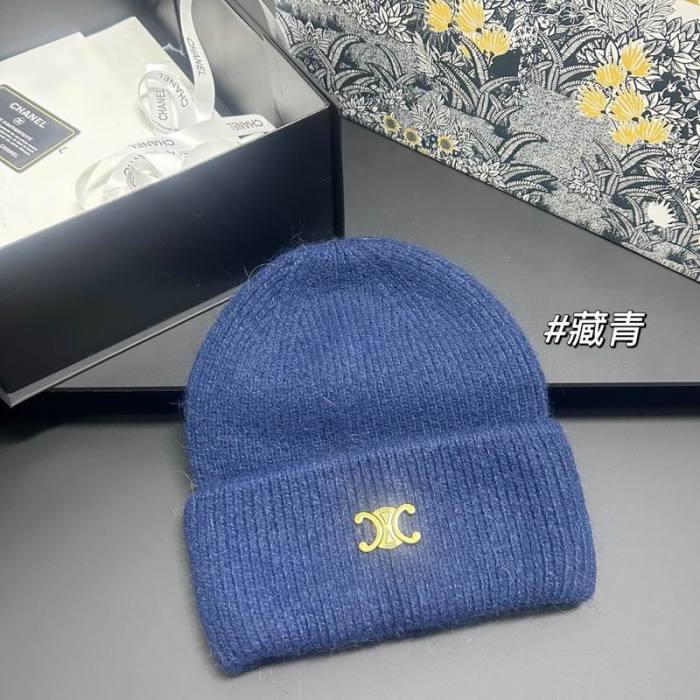 Celine Hats AAA-1620