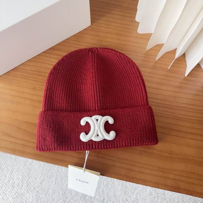 Celine Hats AAA-1586