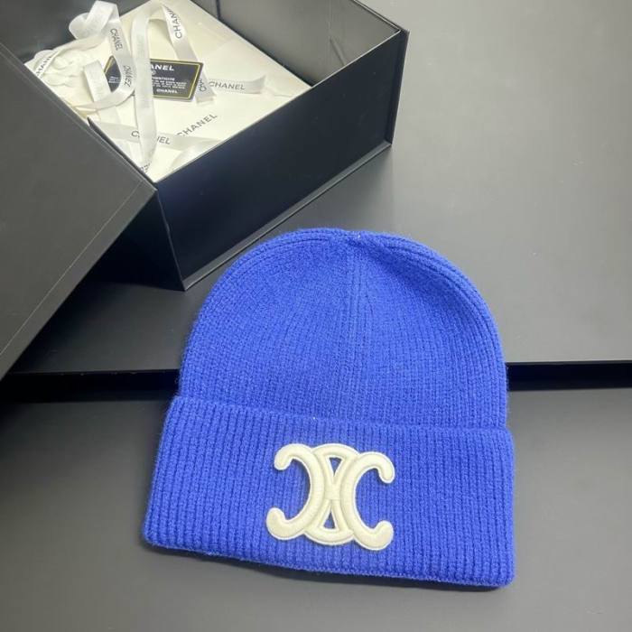 Celine Hats AAA-1540
