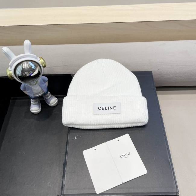 Celine Hats AAA-1498