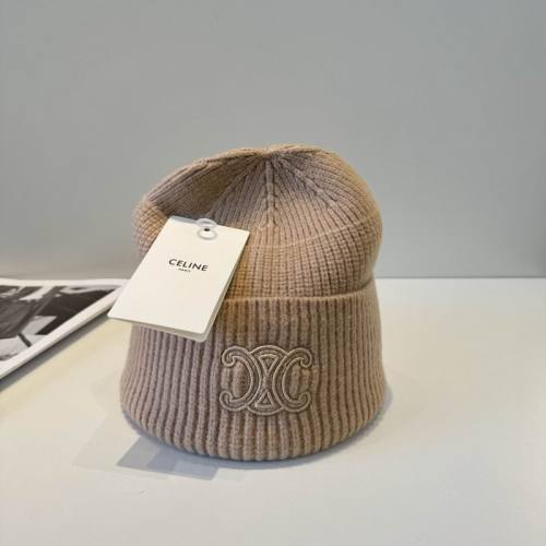 Celine Hats AAA-1473