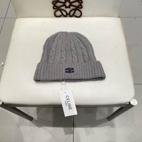 Celine Hats AAA-1518