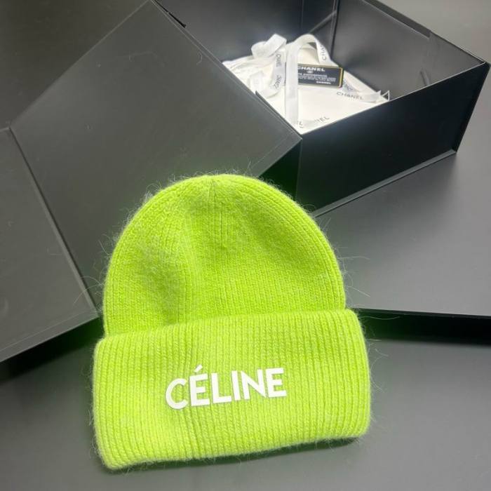 Celine Hats AAA-1661