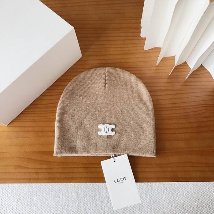 Celine Hats AAA-1548