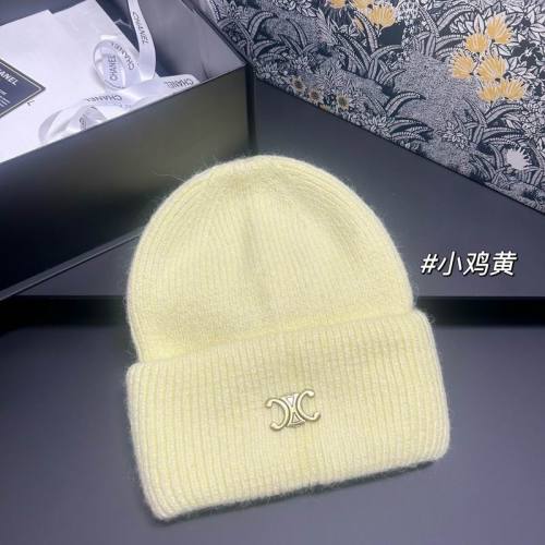 Celine Hats AAA-1618