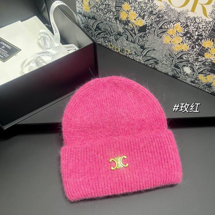 Celine Hats AAA-1628