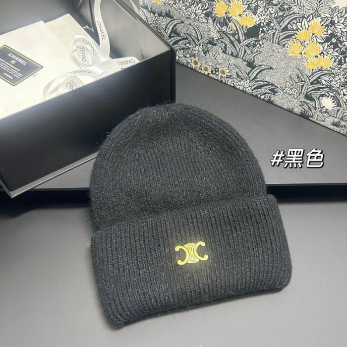 Celine Hats AAA-1601