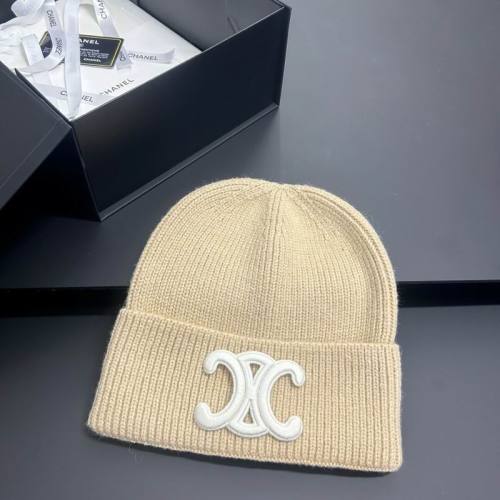 Celine Hats AAA-1523