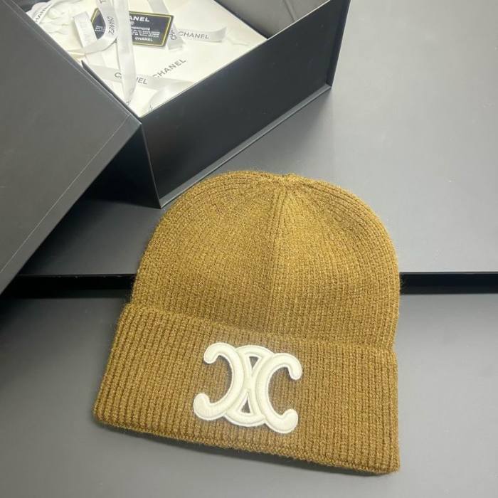 Celine Hats AAA-1538