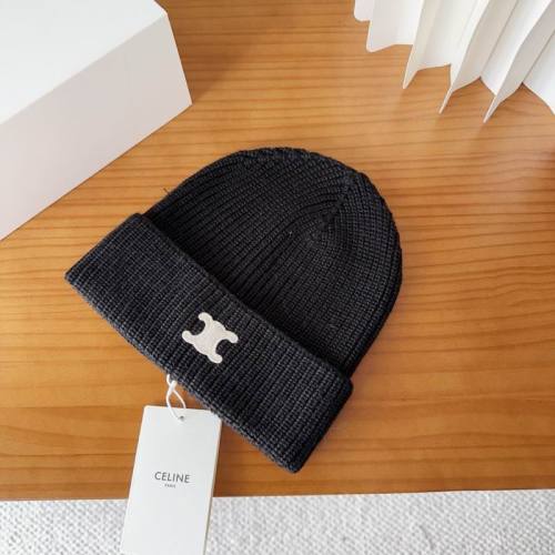 Celine Hats AAA-1511