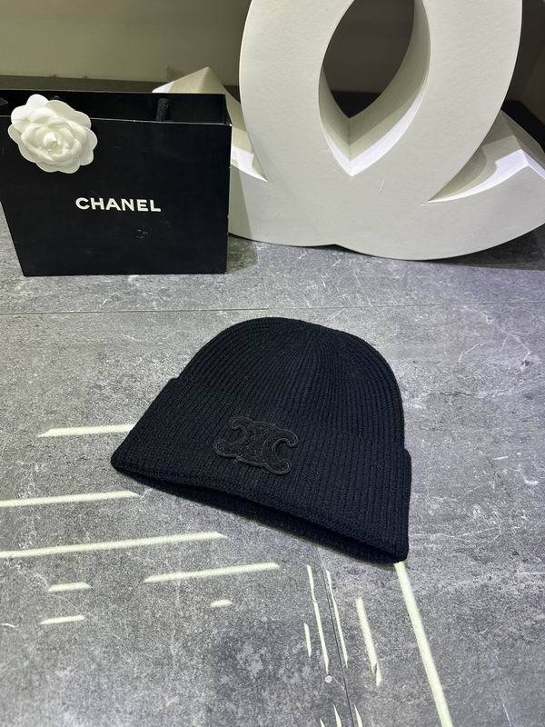 Celine Hats AAA-1605